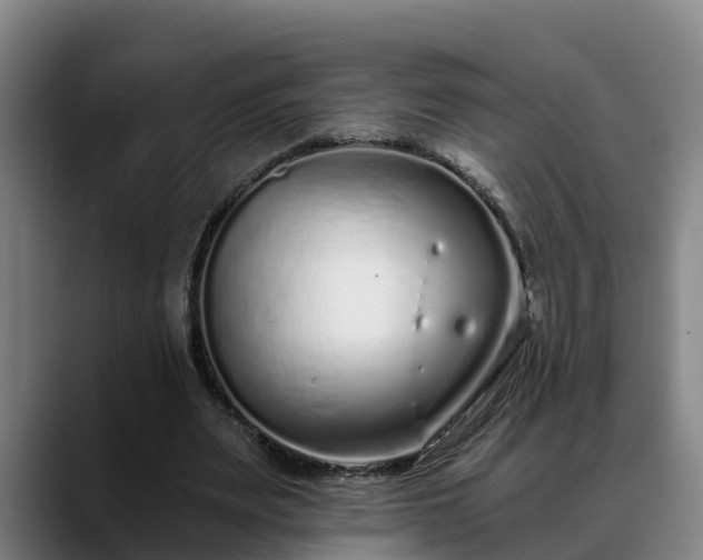 X0000088840487200706141541