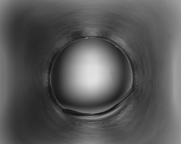 X0000088840489200706141541