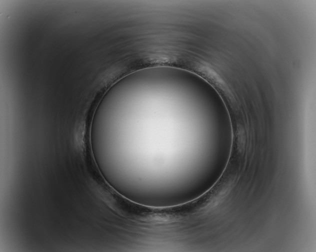 X0000088840490200706141541