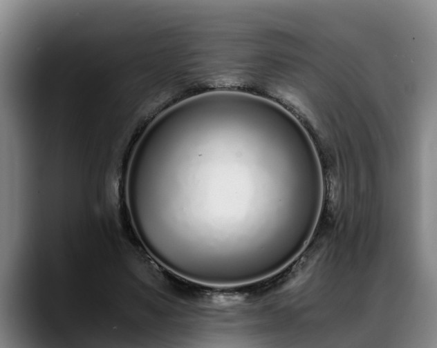 X0000088840491200706141541