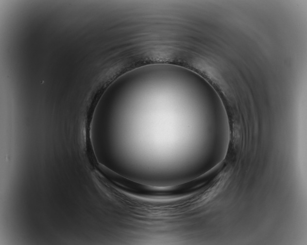 X0000088840493200706141541