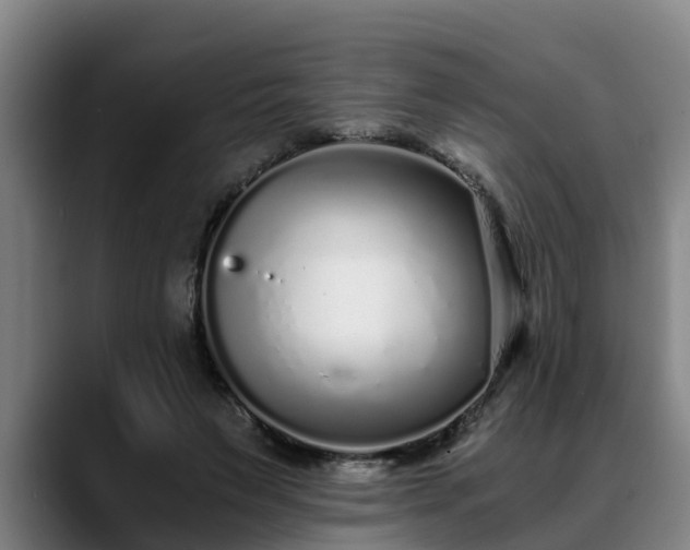 X0000088840495200706141541