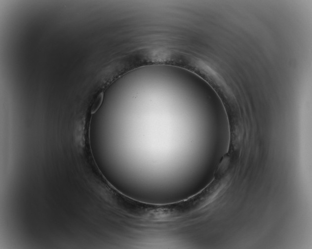 X0000088840497200706141541