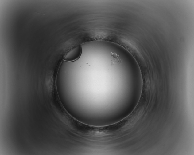 X0000088840498200706141541