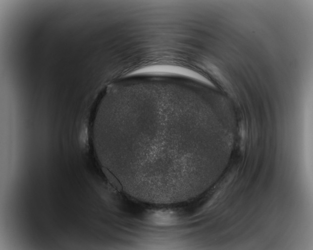 X0000088840500200706141541