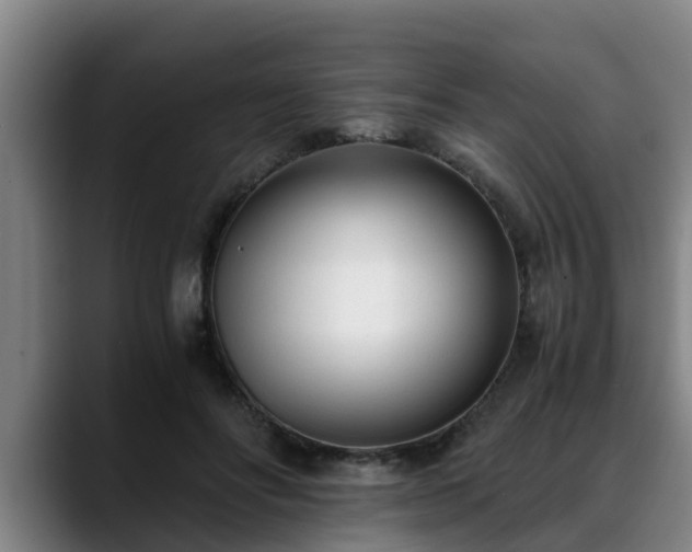 X0000088840502200706141541