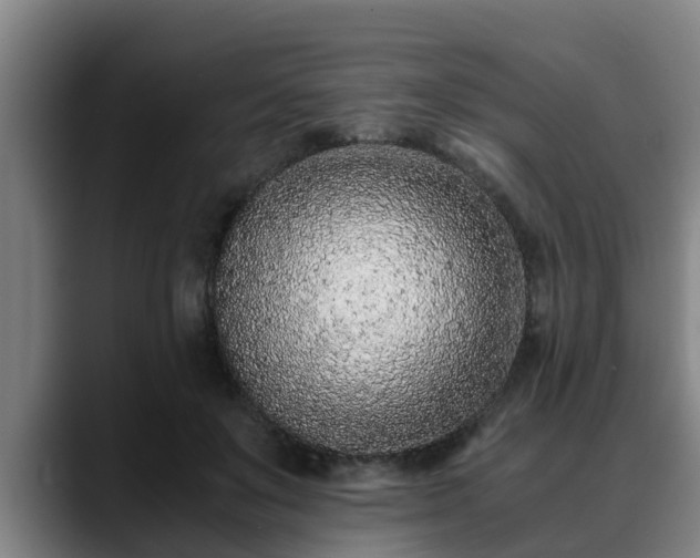 X0000088840503200706141541