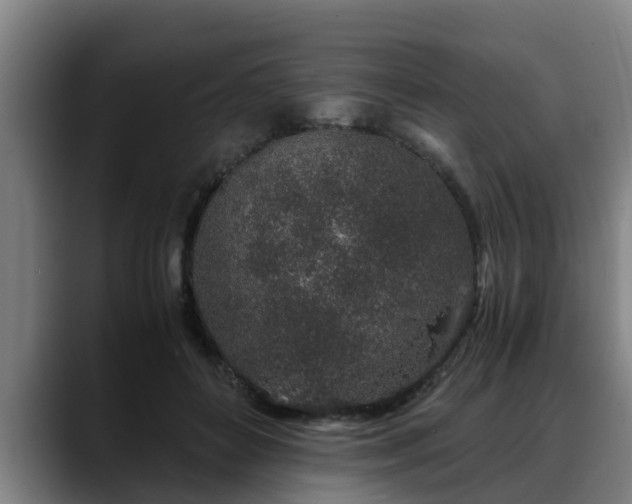 X0000088840504200706141541