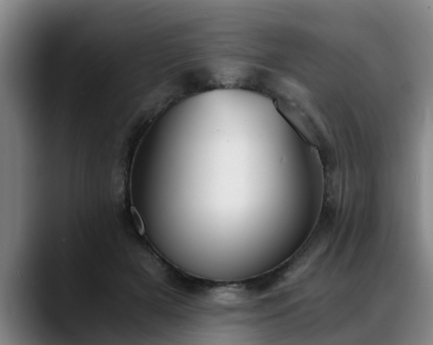 X0000088840505200706141541