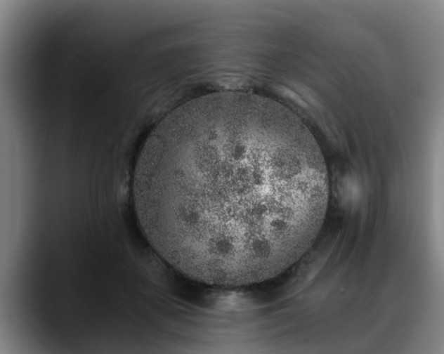 X0000088840507200706141541