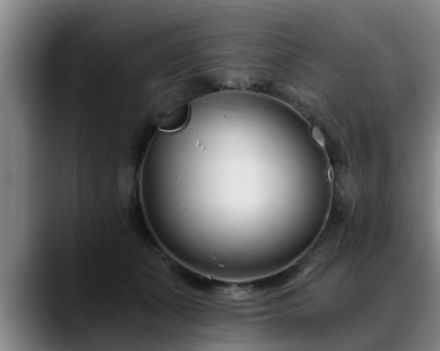 X0000088840511200706141541