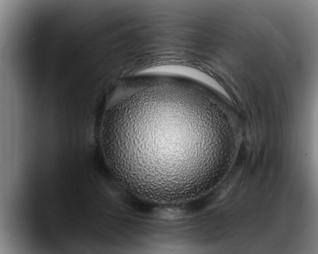 X0000088840512200706141541