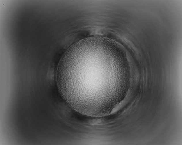 X0000088840513200706141541