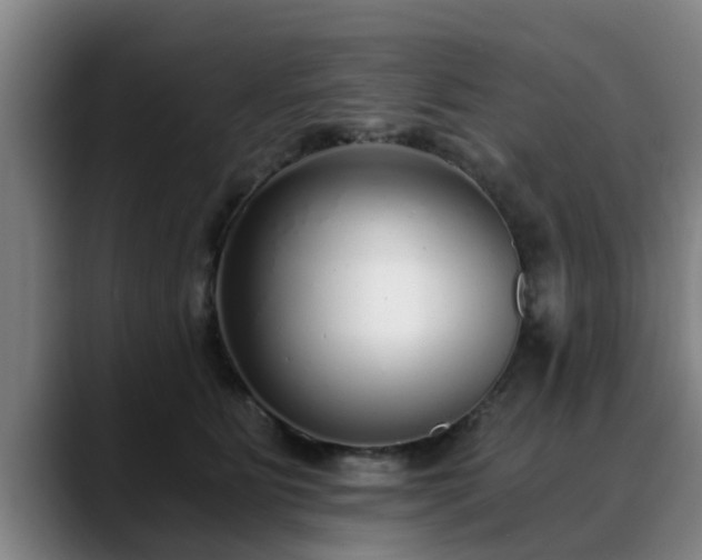 X0000088840515200706141541