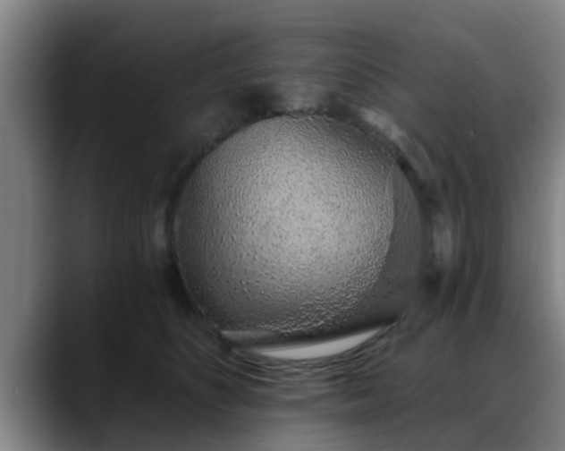 X0000088840516200706141541