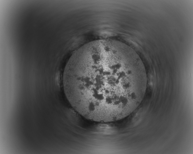 X0000088840519200706141541