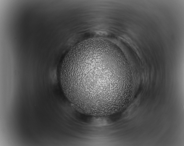 X0000088840520200706141541