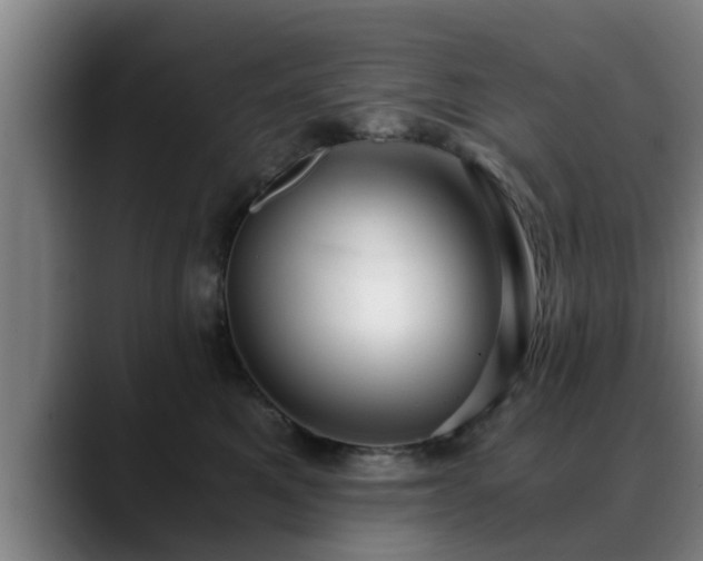 X0000088840521200706141541