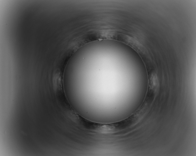 X0000088840522200706141541