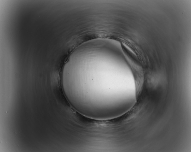 X0000088840523200706141541