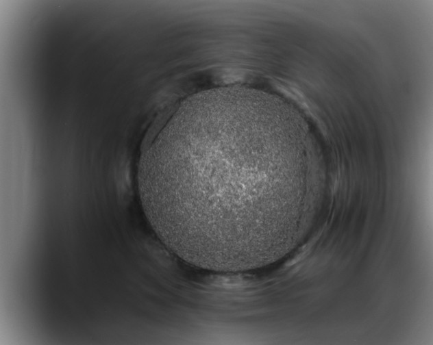 X0000088840524200706141541