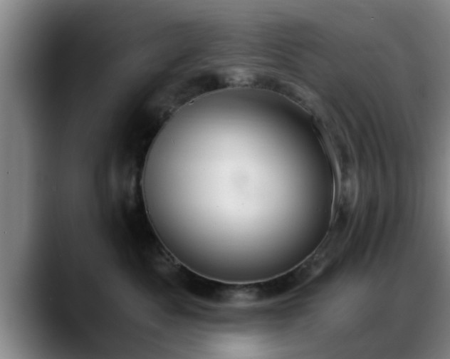 X0000088840525200706141541