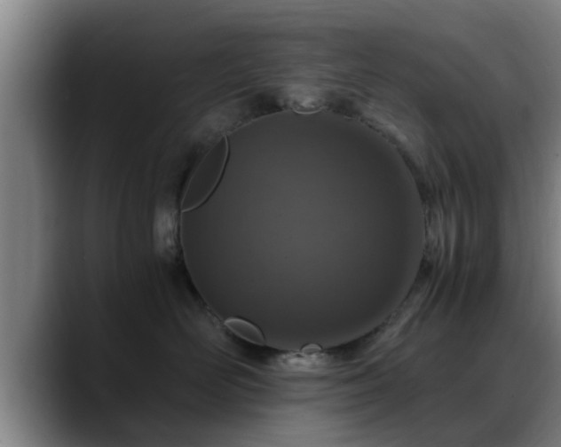 X0000088840526200706141541