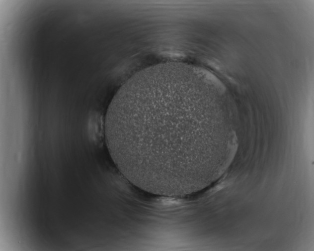 X0000088840528200706141541