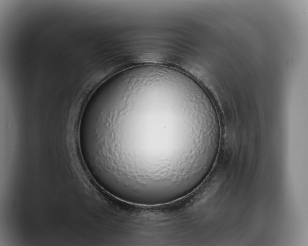 X0000088840529200706141540