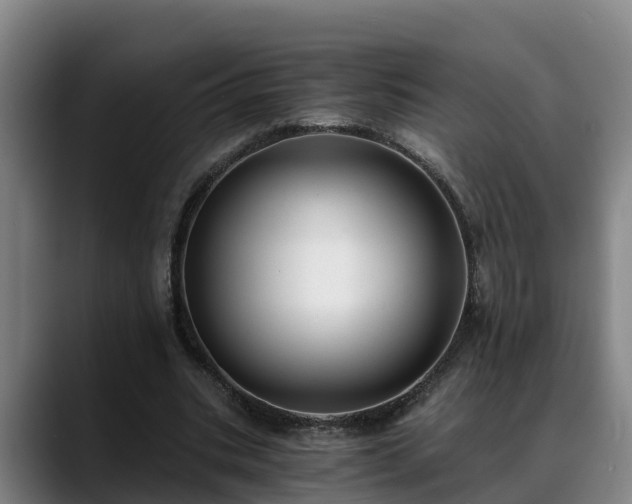 X0000088840535200706141540