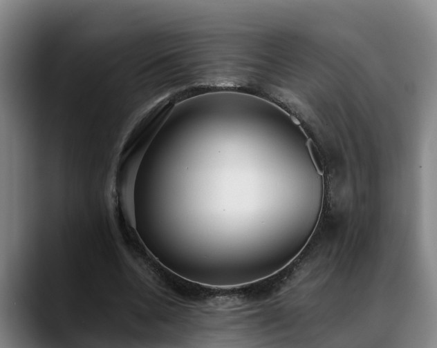 X0000088840536200706141540