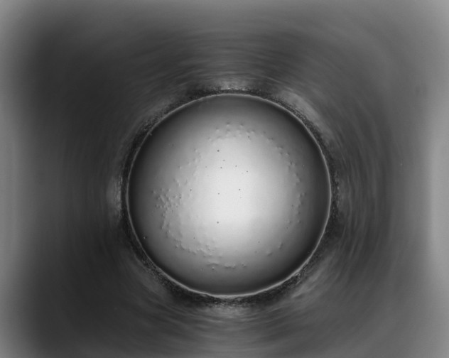 X0000088840537200706141540