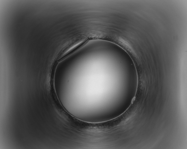 X0000088840538200706141540