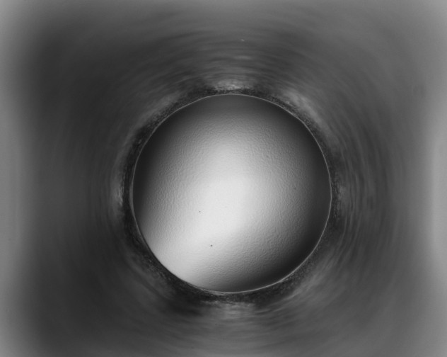 X0000088840539200706141540