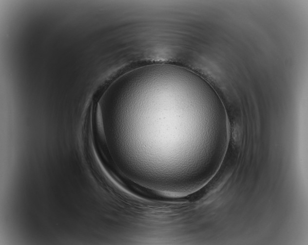 X0000088840540200706141540