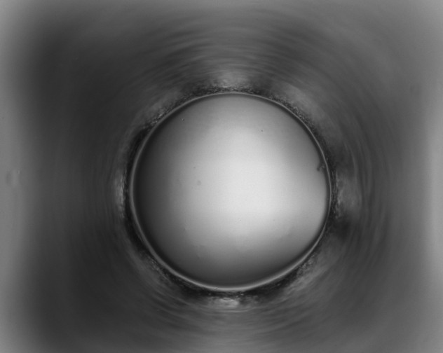 X0000088840542200706141540