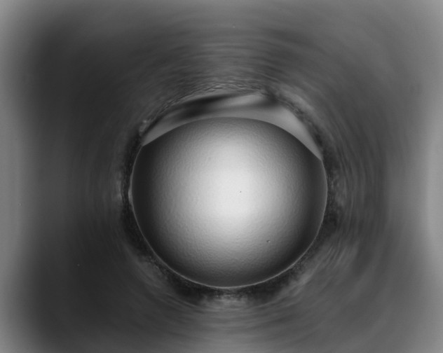 X0000088840546200706141540