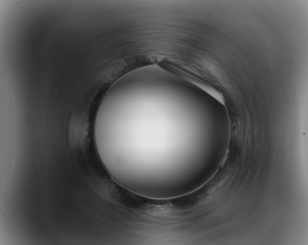 X0000088840548200706141540