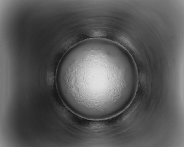 X0000088840549200706141540