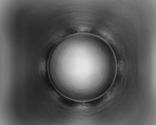 X0000088840550200706141540