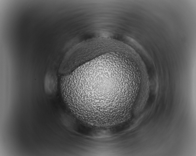 X0000088840552200706141540