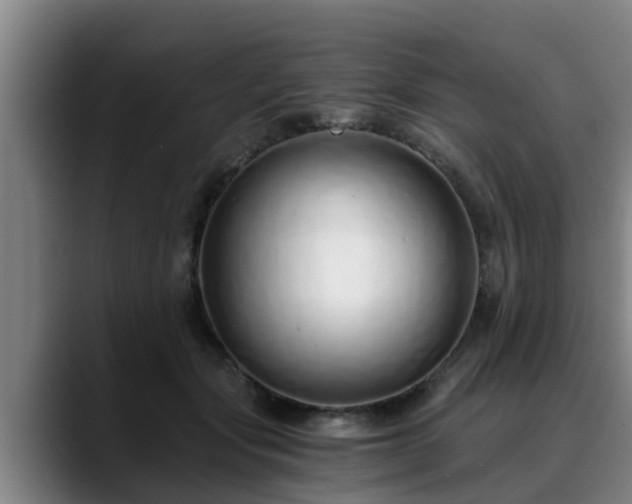 X0000088840557200706141540