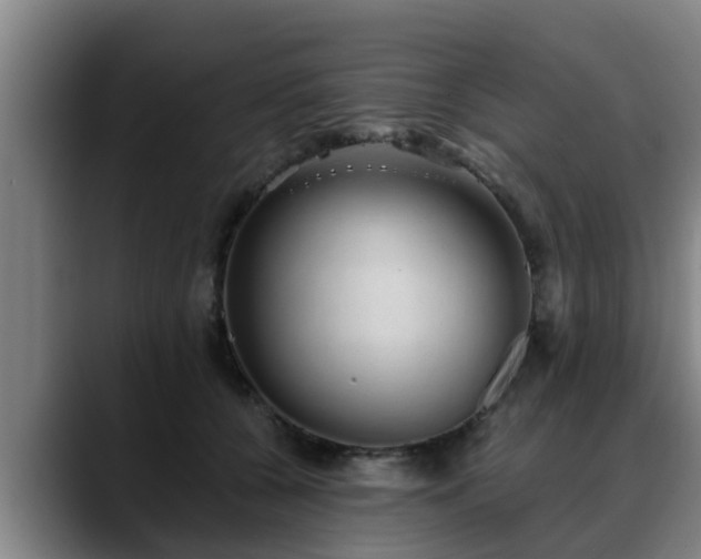 X0000088840560200706141541