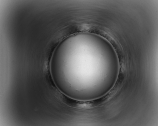 X0000088840561200706141541