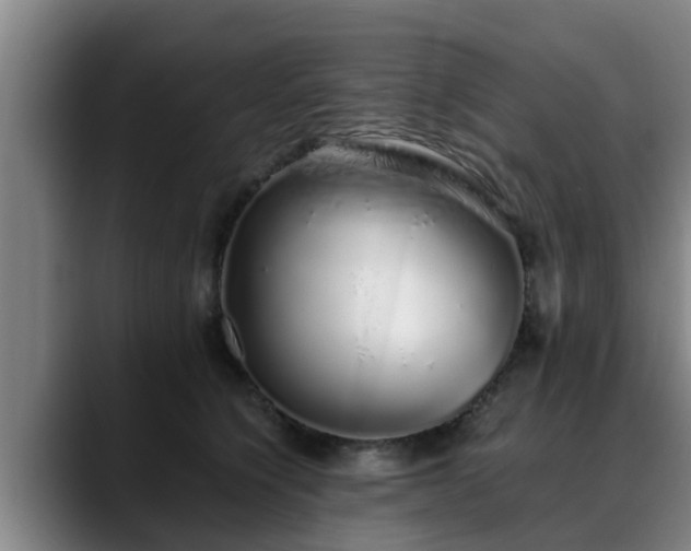 X0000088840564200706141541