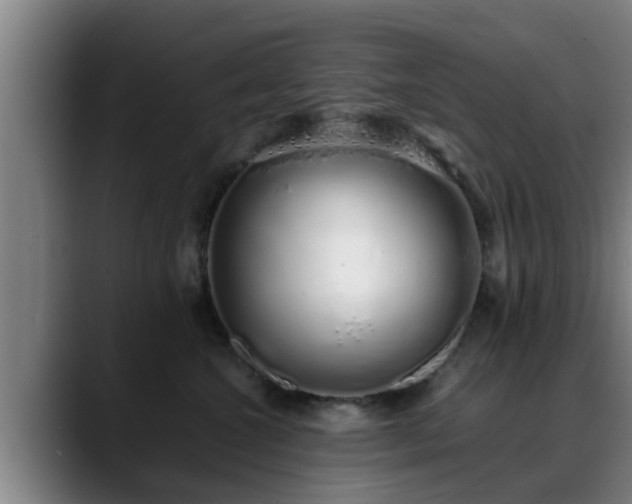 X0000088840572200706141541