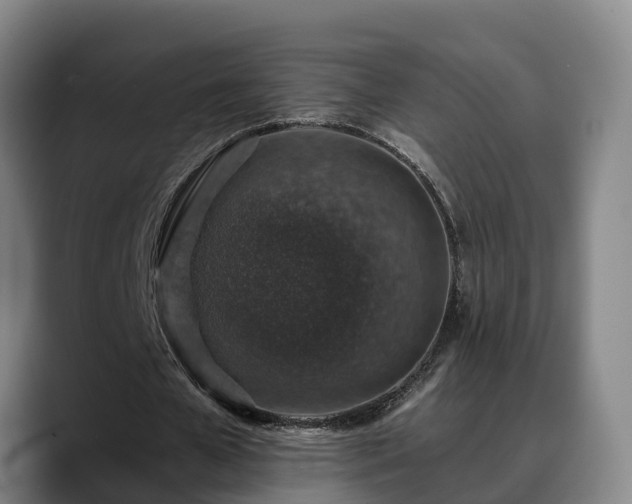 X0000088840577200706141540