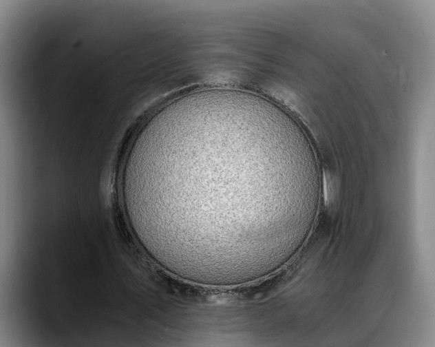 X0000088840579200706141540