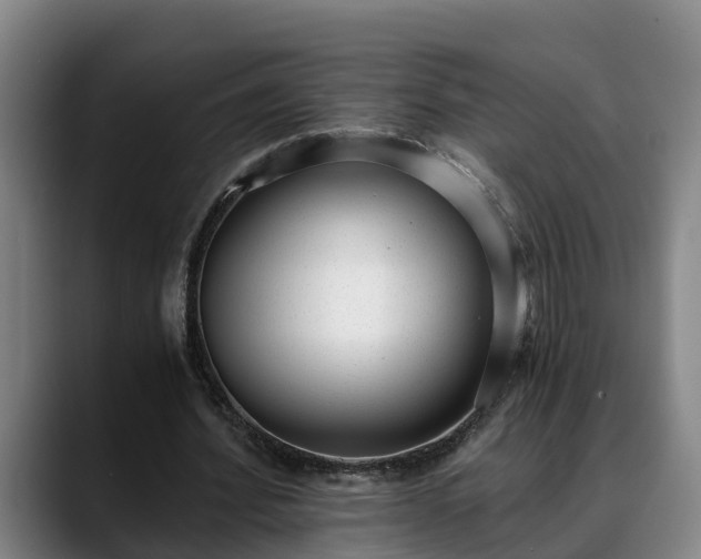 X0000088840580200706141540