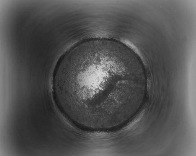 X0000088840581200706141540